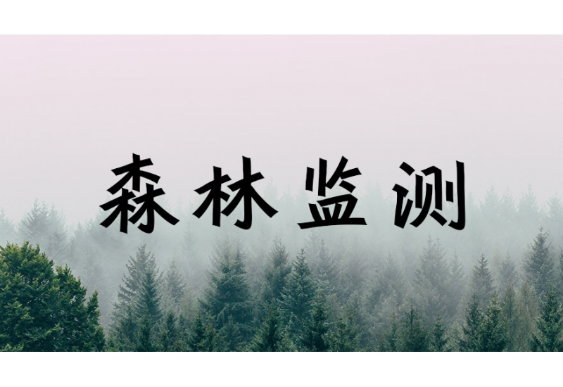 2024年森林監(jiān)測結果摘要